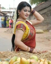 Sona Hot Pictures 17