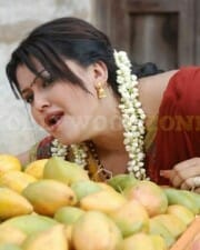 Sona Hot Pictures 37