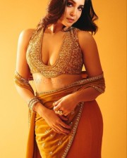 Hot Sharwari Wagh in a Brown Dress with Deep Neck Blouse Showing Heavy Breasts Photos 01