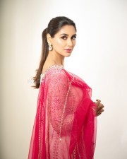 Graceful Nikita Dutta in a Pink and White Lehenga Photos 04