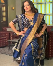 Sexy Antara Biswas Monalisa in a Traditional Saree Photos 04