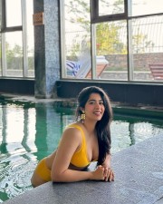 Erotic Nikita Sharma in a Mustard Two Piece Bikini Swimsuit Photos 03