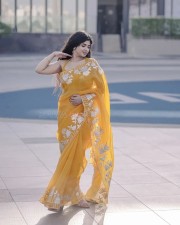 Glam Pragya Nagra in a Printed Yellow Saree with a Sleeveless Blouse Pictures 04