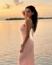 Tempting Prakriti Pavani in a Pink Sleeveless Bodycon Dress at the Beach Photos 01