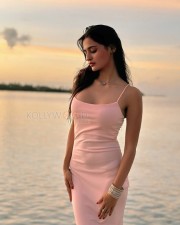 Tempting Prakriti Pavani in a Pink Sleeveless Bodycon Dress at the Beach Photos 03