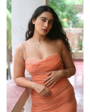 Hot and Sexy Megha Shukla in an Orange Bodycon Dress Pictures 07