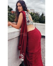 Hypnotic Megha Shukla in a Red Saree with Sleeveless Multi Coloured Blouse Photos 01