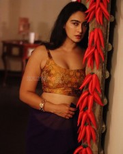 Indian Beauty Megha Shukla in a Saree and Bralette Photos 06