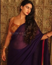 Indian Saree Beauty Megha Shukla Photos 16