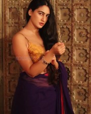 Indian Saree Beauty Megha Shukla Photos 17