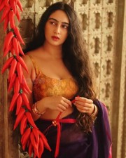 Indian Saree Beauty Megha Shukla Photos 18