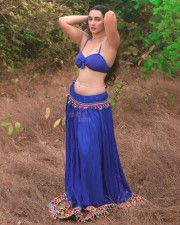 Indian Saree Beauty Megha Shukla Photos 25