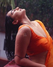 Seductively Erotic Megha Shukla in an Orange Saree Wet Photos 02