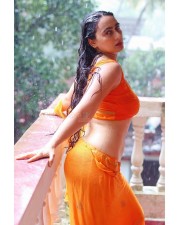 Seductively Erotic Megha Shukla in an Orange Saree Wet Photos 07