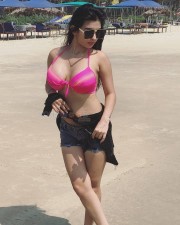 Ankita Dave Goa Beach Photos 20