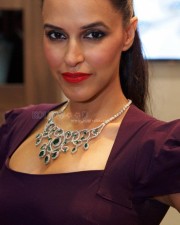 Indian Actress Neha Dhupia Picture 01