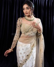 Beautiful Actress Preity Mukhundhan in a Silk Hand Embroidered Tulle Bridal Saree Photos 05