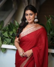 Actress Sneha Gupta at AAY Pre Release Event Photos 12