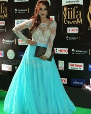 Actress Angela Krislinzki At Iifa Utsavam 2017 Photos 05