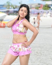 Harika Payal Ghosh Hot Pictures 12