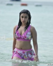 Harika Payal Ghosh Hot Pictures 13