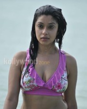 Harika Payal Ghosh Hot Pictures 14