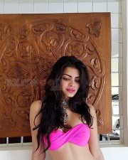 Model Sonali Raut Sexy Bikini Photos 08