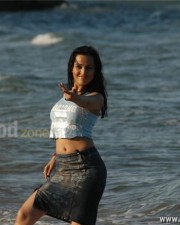 Nisha Kothari Hot Photos 19