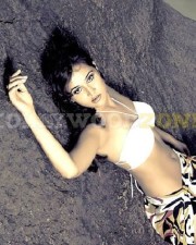 Nisha Kothari Sexy Stills 07