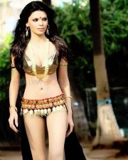 Playboy Model Sherlyn Chopra Sexy Photos 25