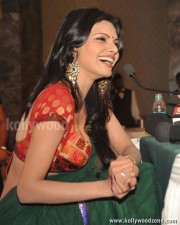 Playboy Playmate Sherlyn Chopra Sexy Saree Photos 03