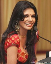 Playboy Playmate Sherlyn Chopra Sexy Saree Photos 15