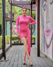 Wild Wild Punjab Actress Ishita Raj Sharma in a Pink Dress Photos 03