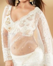 Wild Wild Punjab Actress Ishita Raj in a See Through White Saree Photos 05