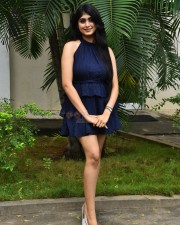 Actress Aishwarya Ullas at Dear Krishna Movie Press Meet Photos 12