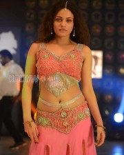 Sneha Ullal Song Dance Photos 01