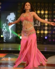 Sneha Ullal Song Dance Photos 08