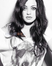 Telugu Actress Sneha Ullal Photos 02