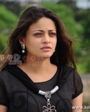 Tollywood Actress Sneha Ullal Pictures 08