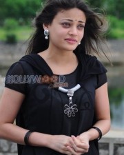 Tollywood Actress Sneha Ullal Pictures 13