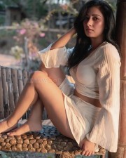 Elegant and Charming Niharica Raizada Pictures 02